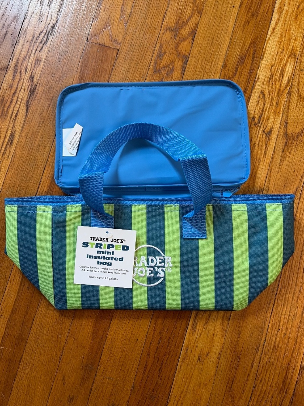 TRADER JOES NWT Mini Insulated Striped Bag Lunch Bag Blue Green Box